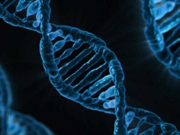 genetics