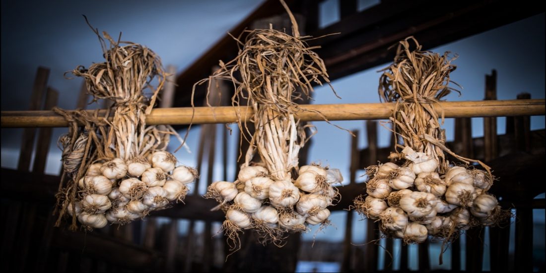 Garlic protection for women, children, soul and much more