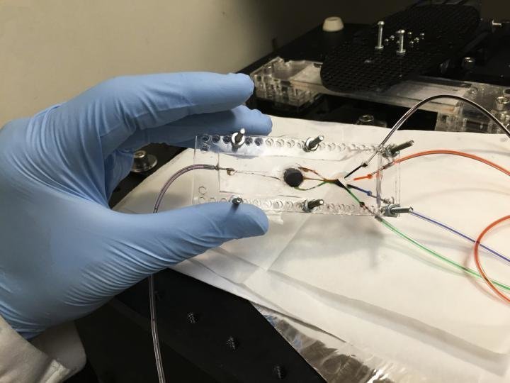 3D Bioprinter UCLA