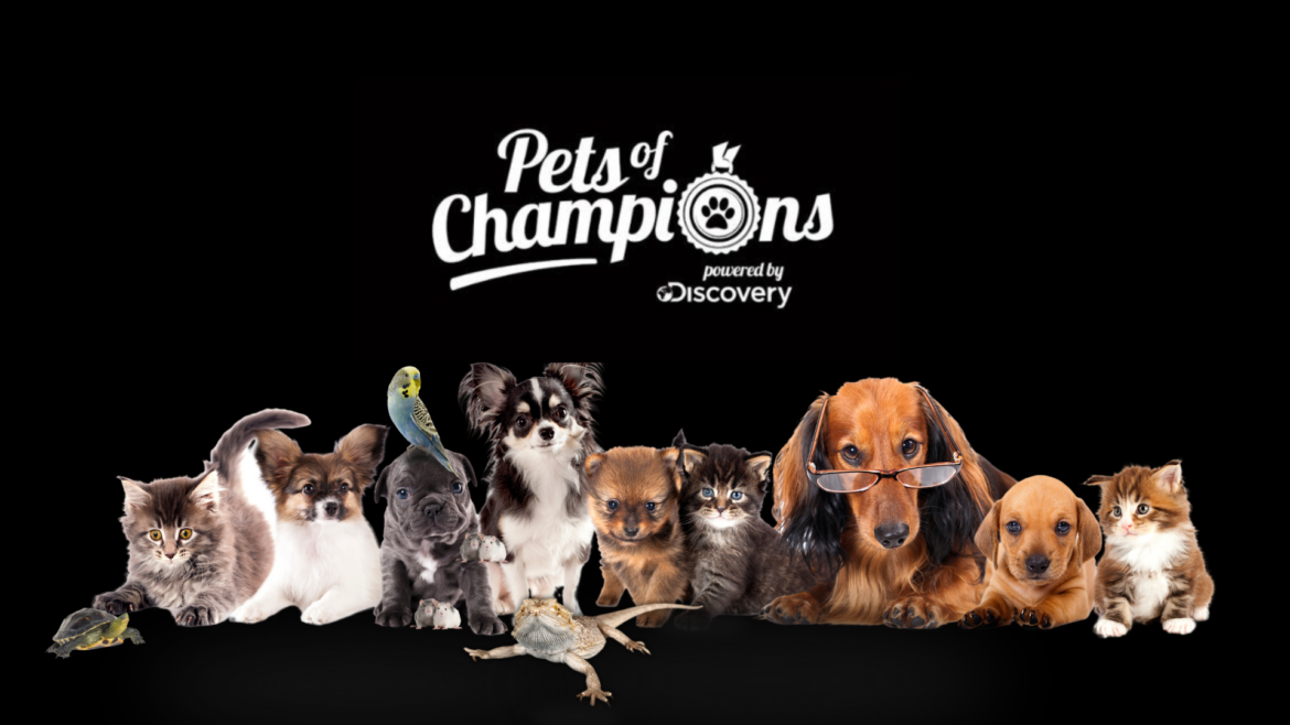 Pets-of-Champions-Discovery-Network