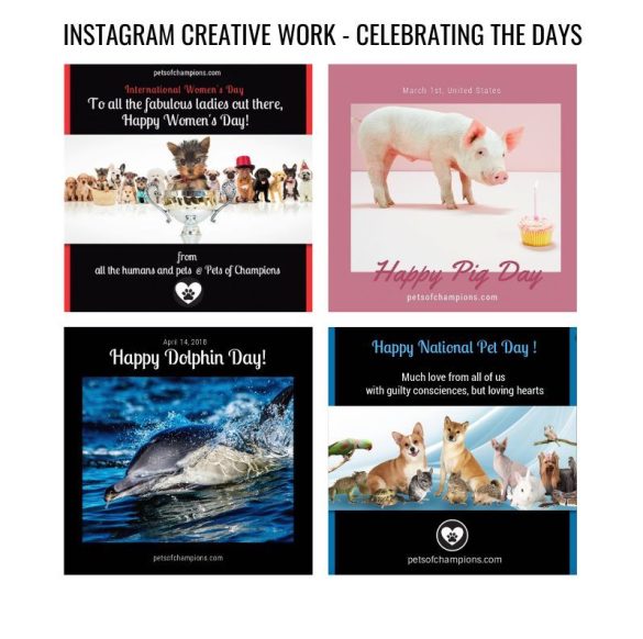 pets-of-champions-discovery-networks-europe – 10