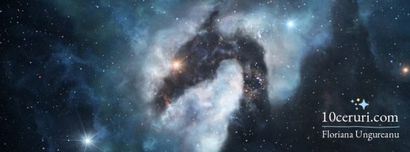 52611741_409788266435012_2142174265263259648_n