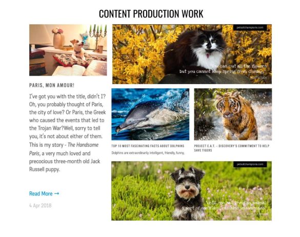 pets-of-champions-discovery-networks-europe – 7