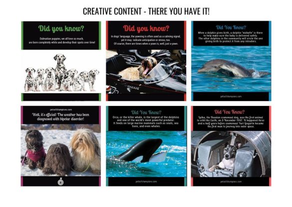 pets-of-champions-discovery-networks-europe – 12