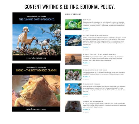 pets-of-champions-discovery-networks-europe – 14