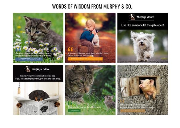 pets-of-champions-discovery-networks-europe – 11