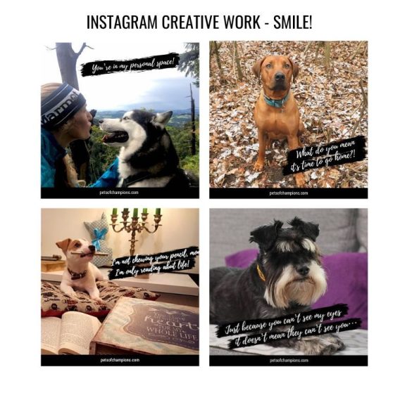 pets-of-champions-discovery-networks-europe – 9