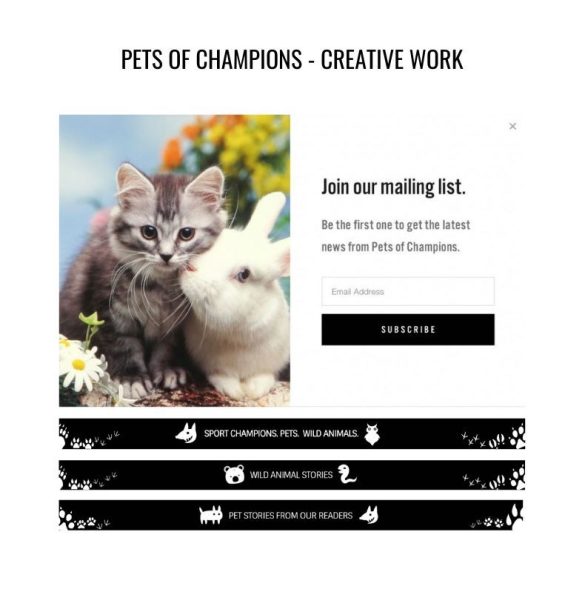 pets-of-champions-discovery-networks-europe – 4