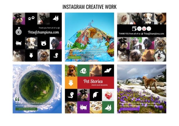 pets-of-champions-discovery-networks-europe – 8