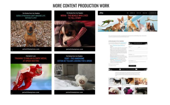 website-productio-content