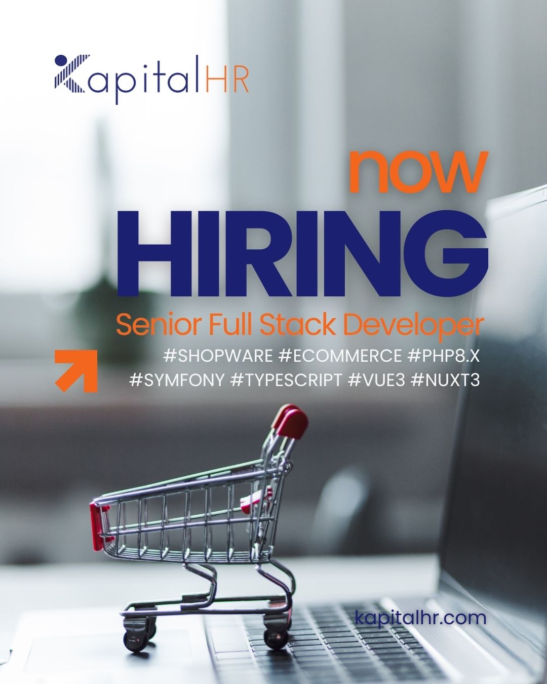 Senior Fullstack-Developer / Shopware