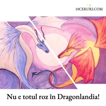 10ceruri-instagram-3